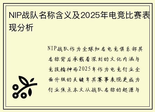 NIP战队名称含义及2025年电竞比赛表现分析