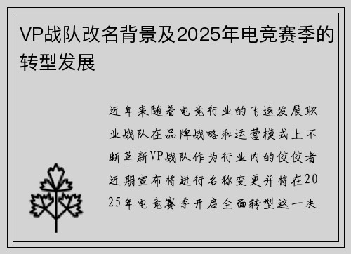 VP战队改名背景及2025年电竞赛季的转型发展